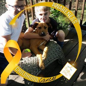 Meet your Posher, Heavenly